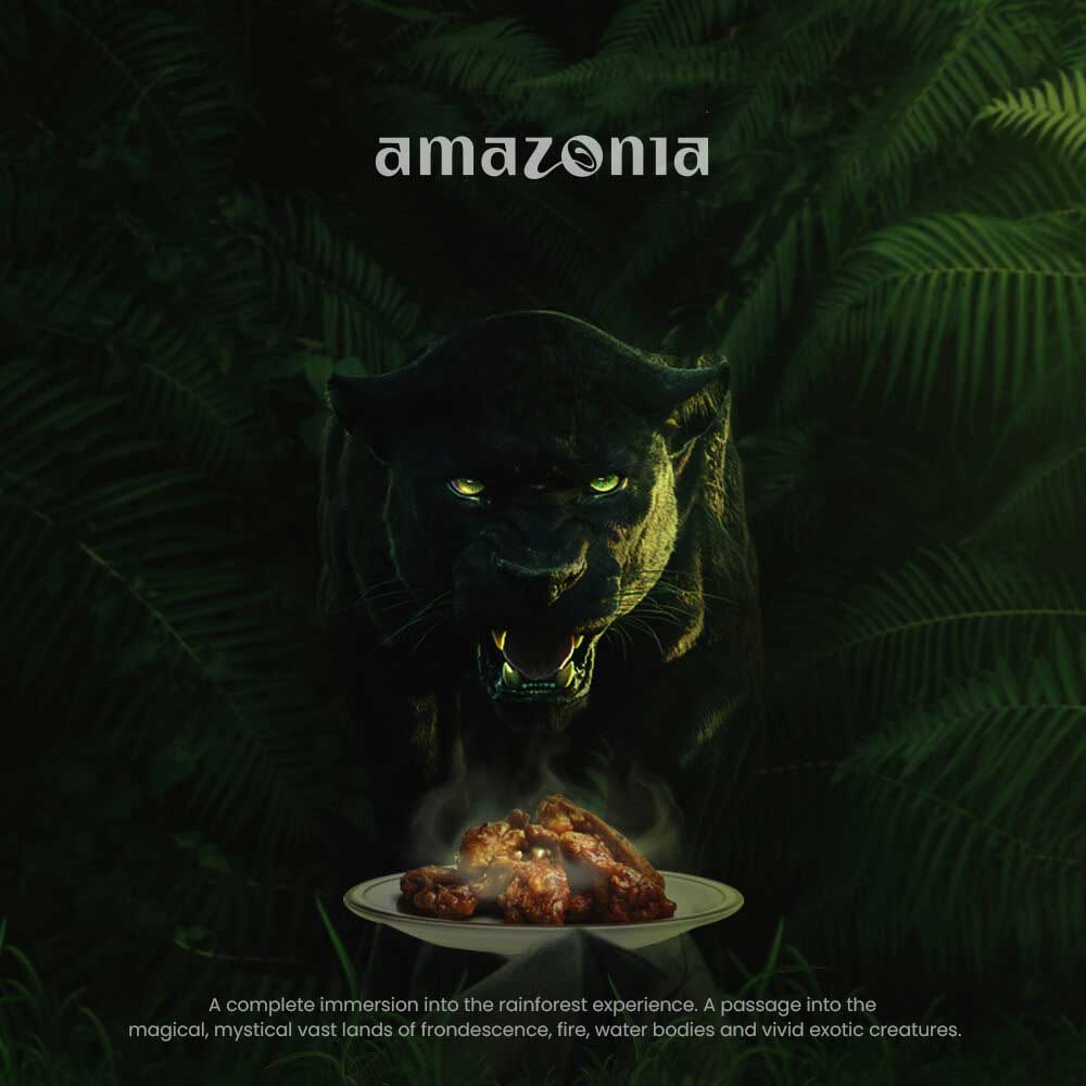 Amazonia-1-(1)
